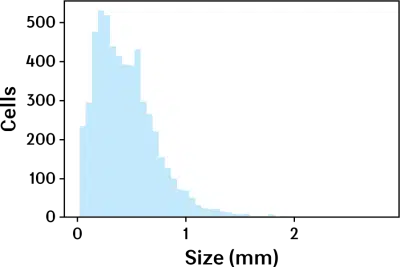 image of the calculated cell sizes