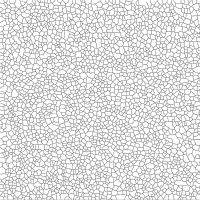 image of epe foam after omniscope platform have calculated cell sizes